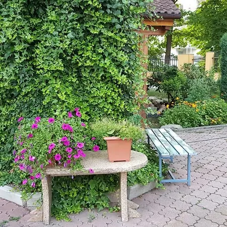 Guest house Miltom 3*