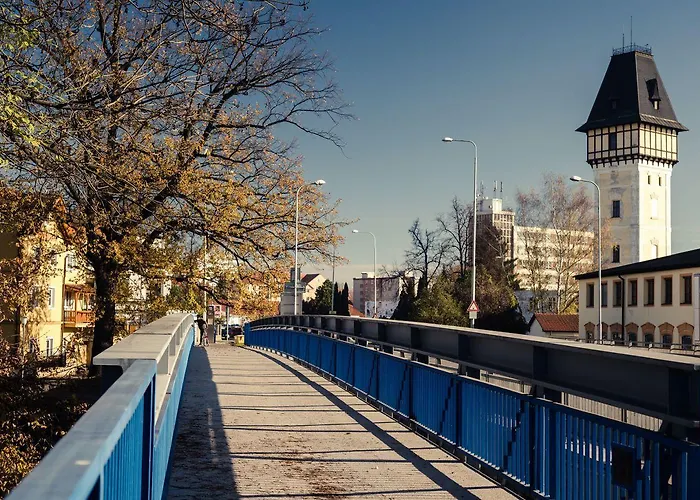 Miltom Ceske Budejovice